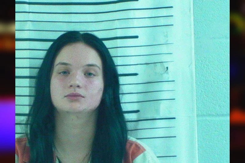 Harley Jackson Mugshots