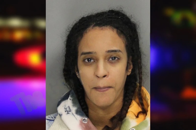 Hayat Muzemil Mugshots