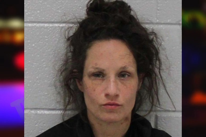 Hayley Poole Mugshots