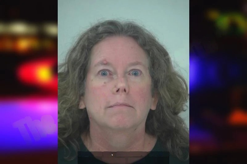 Heather Cap mugshot – Fayette County , Georgia Heather Cap mugshot