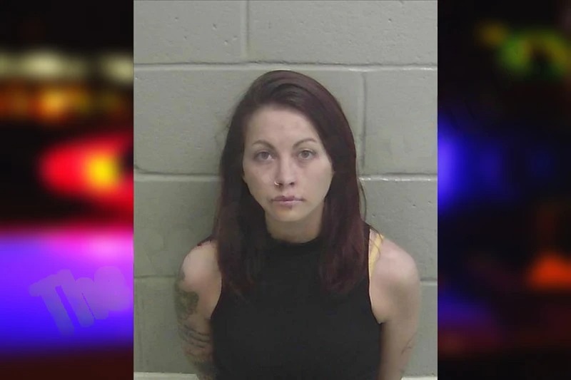 Heather Clary mugshot – Wayne County , Georgia Heather Clary mugshot