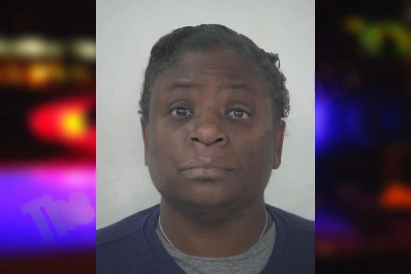 Heather Ellis mugshot