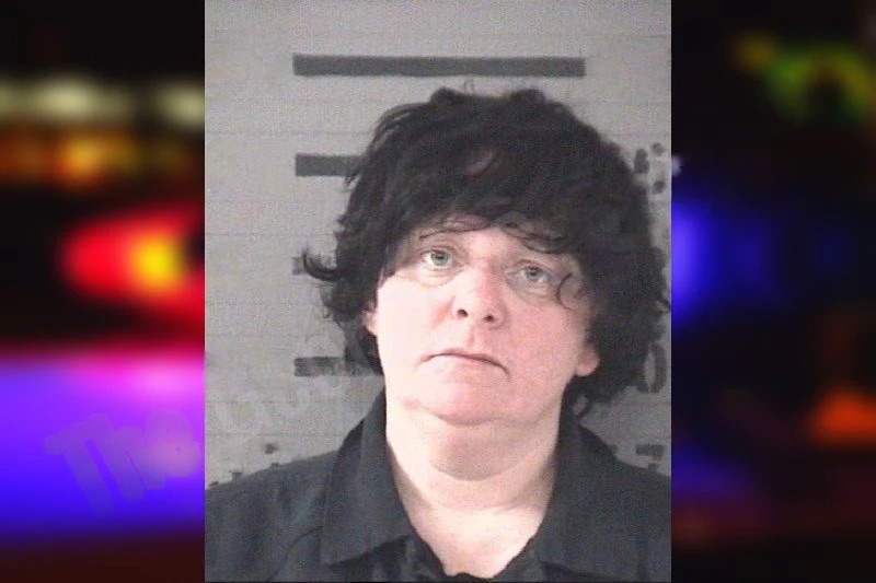 Heather Hendley mugshot