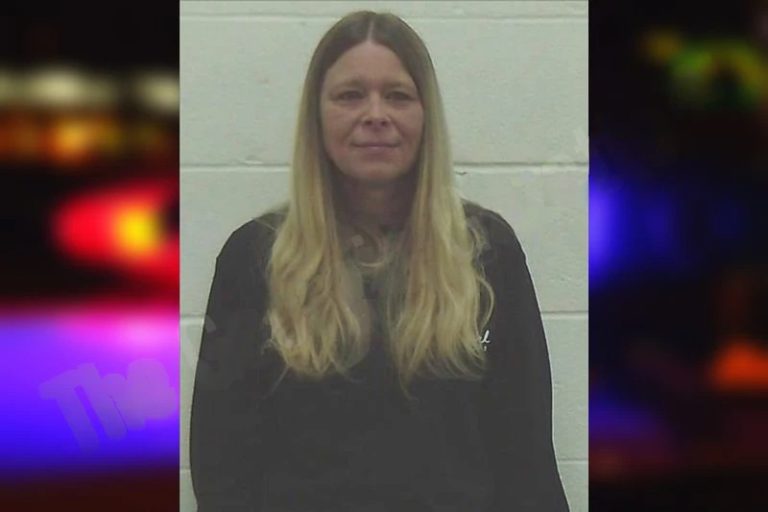 Heather Hoover mugshot – Worth County , Georgia Heather Hoover