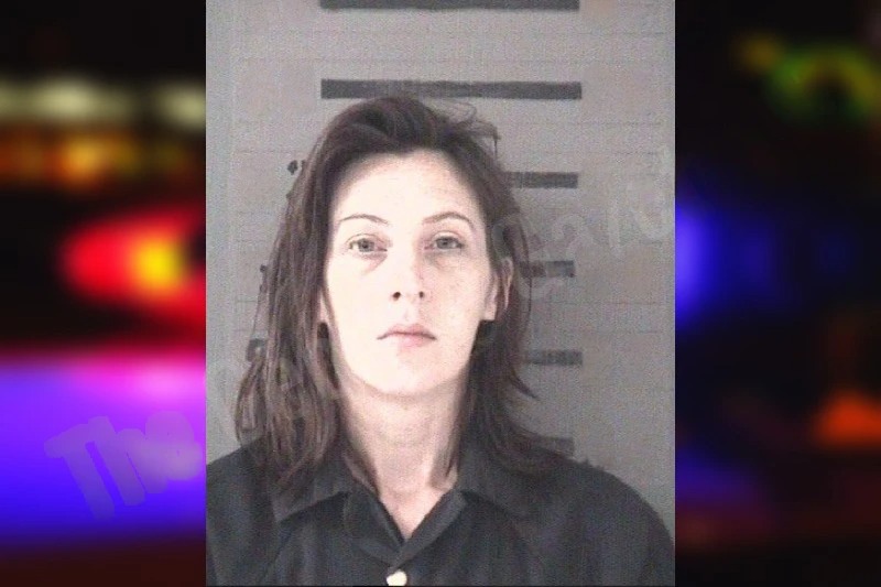 Heather Hutchison Mugshots