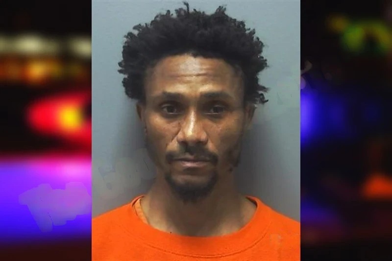 Heather Johnson mugshot – Cherokee County , Georgia Heather Johnson mugshot