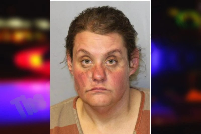 Heather McDonald Mugshots