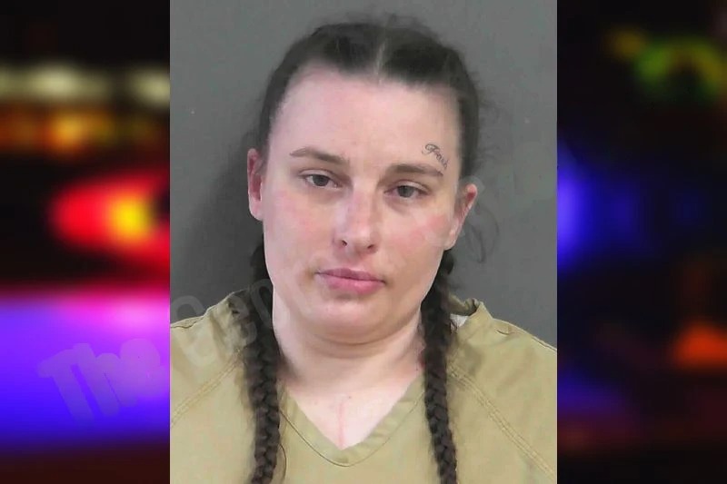 Heather Wilkins Mugshots