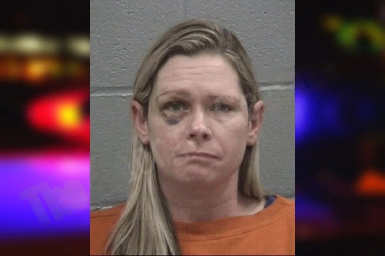 Heather Wirick mugshot – Columbia County , Georgia Heather Wirick