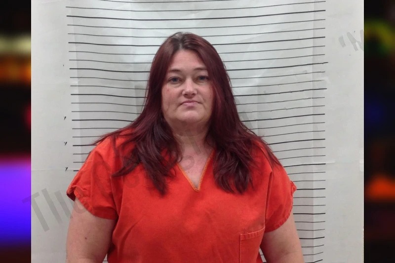 Heidi Olnhausen mugshot – Pickens County , Georgia Heidi Olnhausen mugshot