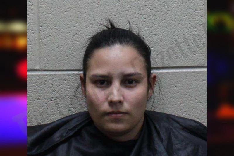 Heydi Vasquez Mugshots