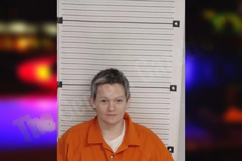 Hilary Adams Mugshots