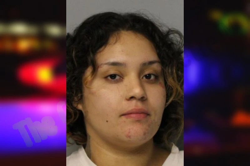 Hillary Cisneros Mugshots