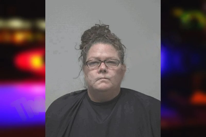 Hillary Langston Mugshots