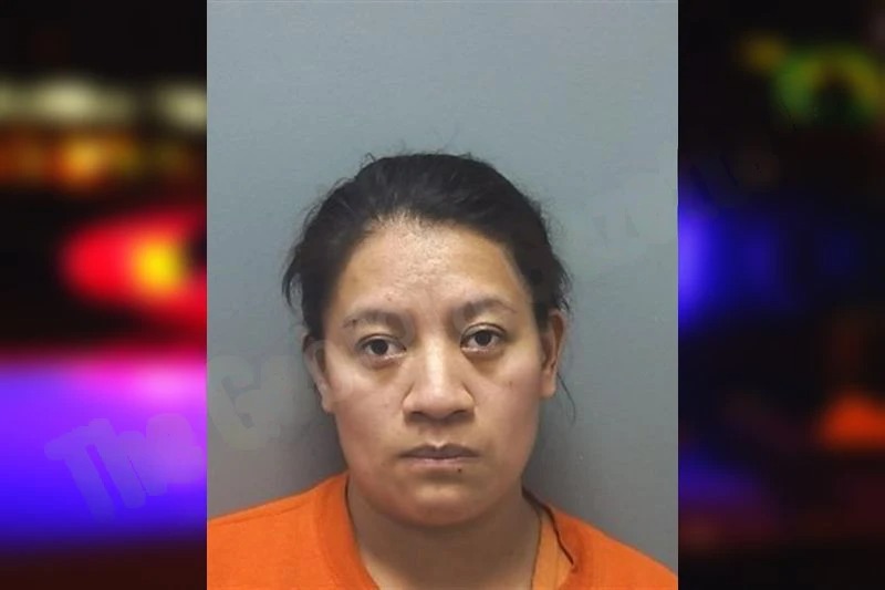 Hiracema Chun-Ambrocio mugshot – Cherokee County , Georgia Hiracema Chun-Ambrocio mugshot