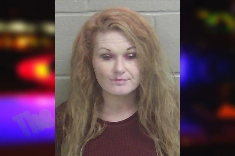 Holly Brannen Mugshots