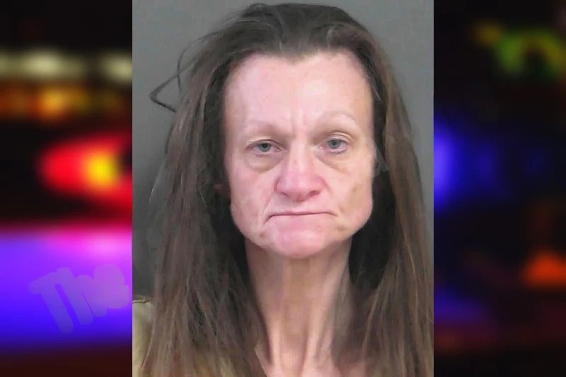 Holly Cochran Mugshots