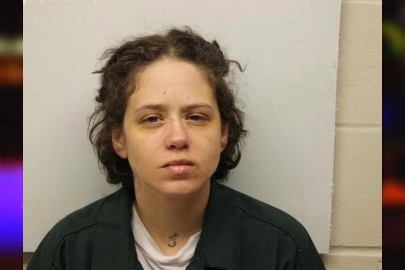 Holly Scott mugshot – Chatham County , Georgia Holly Scott mugshot
