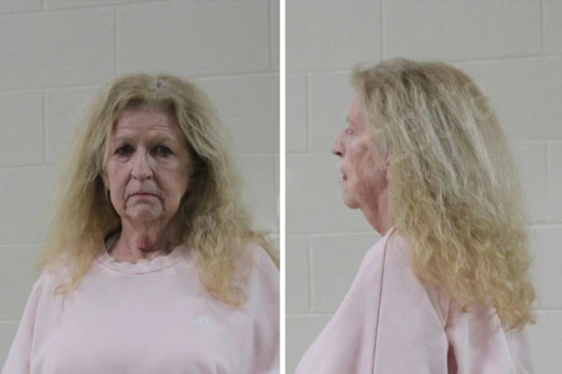 Hollyann Brady Mugshots