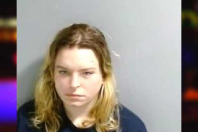 Hollywood Golias mugshot β Fulton County , Georgia Hollywood Golias