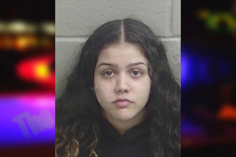 Honey Rebman Mugshots