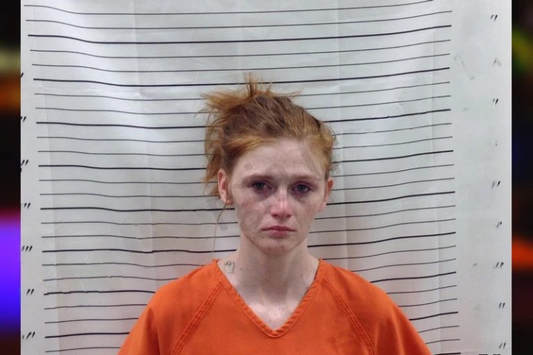 Hope Postell mugshot – Pickens County , Georgia Hope Postell