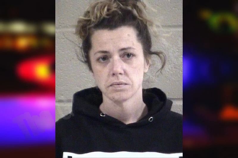 Hope Steelman mugshot – Whitfield County , Georgia Hope Steelman mugshot