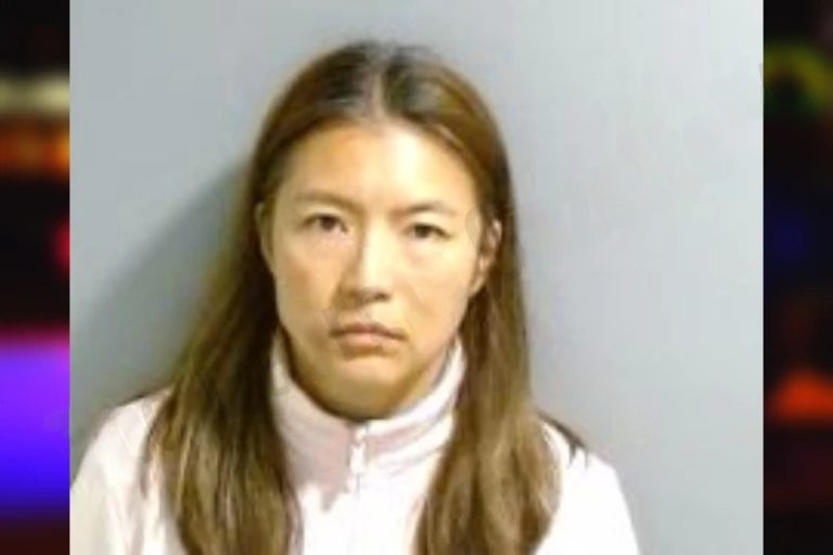 Hsiao Chen mugshot β Fulton County , Georgia Hsiao Chen