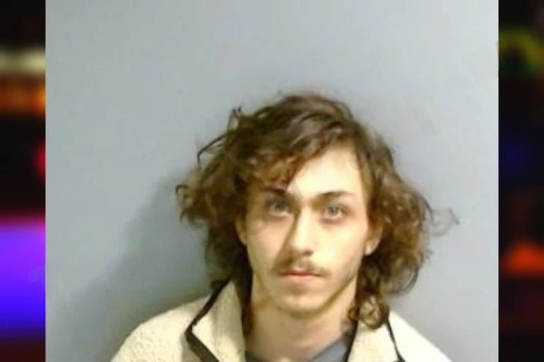 Hunter McLellen mugshot – Fulton County , Georgia Hunter McLellen