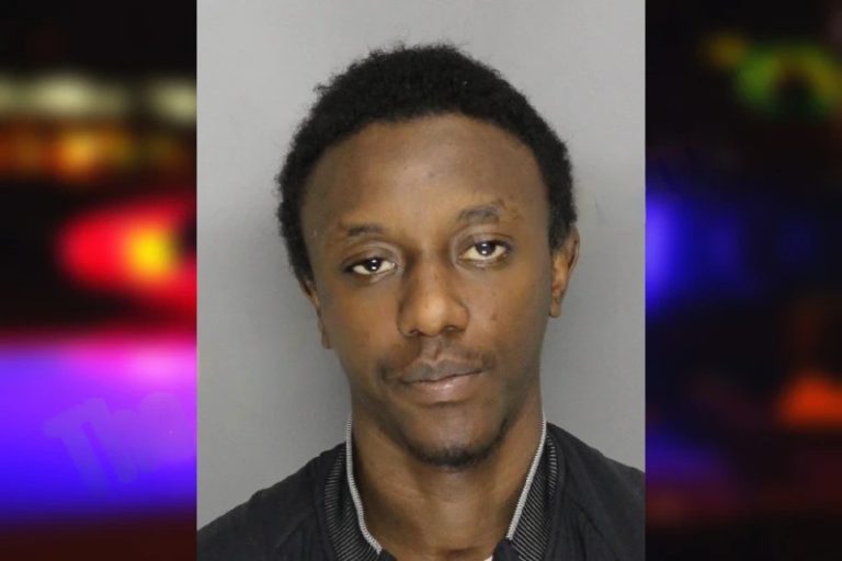 Ian Mungai mugshot – Cobb County , Georgia Ian Mungai