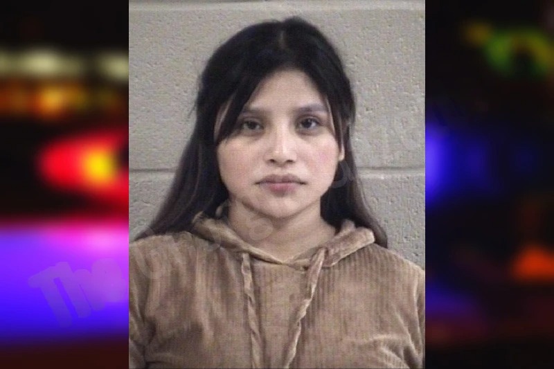 Idelia Lopez-Perez mugshot