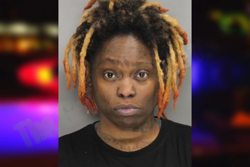 Indigo Alexander mugshot