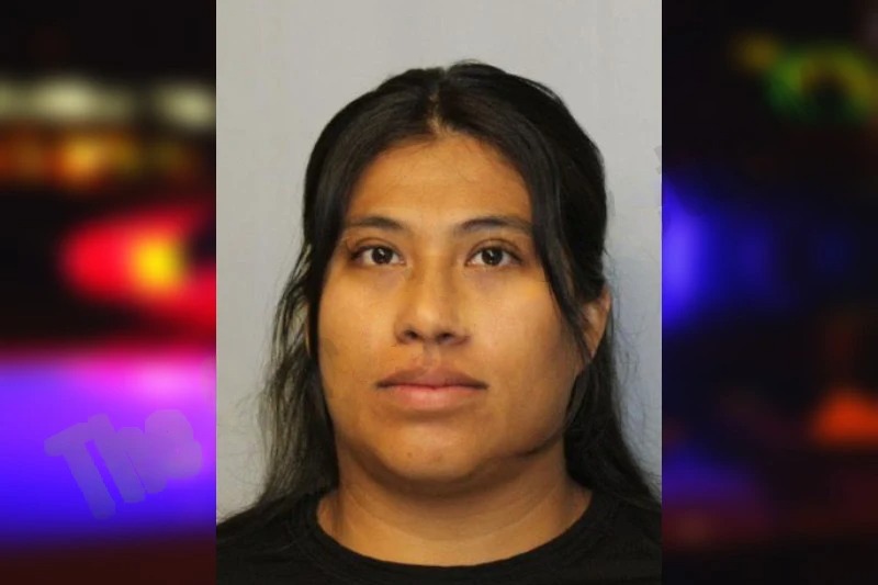 Ingrid Delgado-Salazar Mugshots