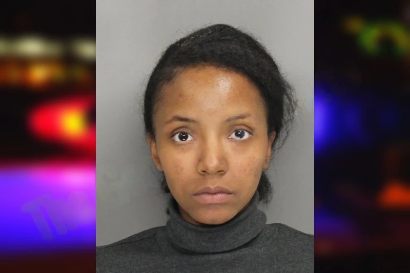 Isabelle Jean mugshot