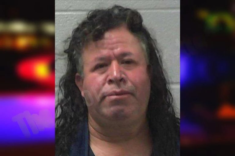 J Ynes Mendez Tovar mugshot – Gilmer County , Georgia J Ynes Mendez Tovar