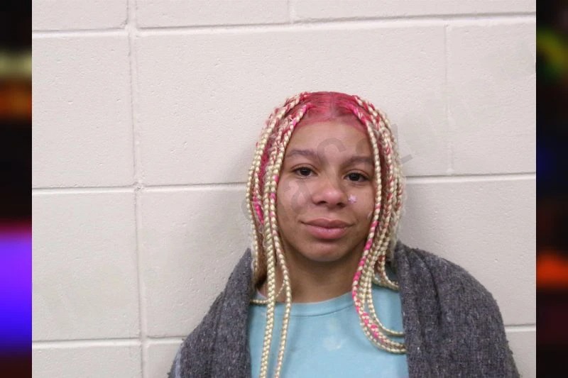 Jada Pollett mugshot