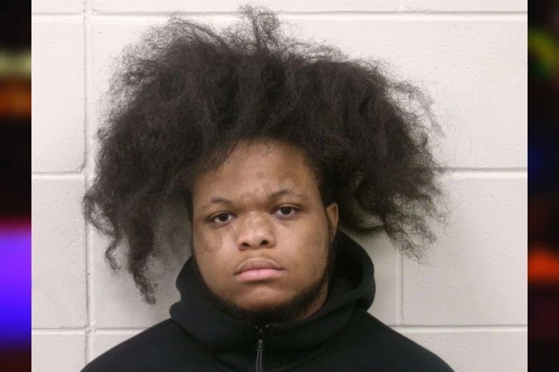 Jaden Thrower mugshot – Bulloch County , Georgia Jaden Thrower mugshot