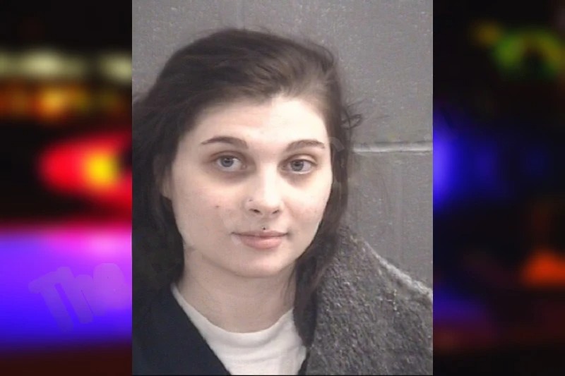 Jaiden Chappell Mugshots