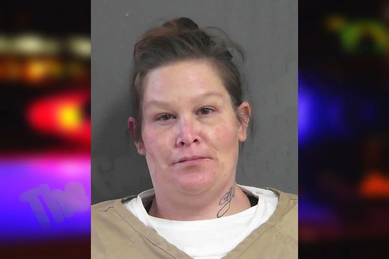 Jaime Flanigan Mugshots