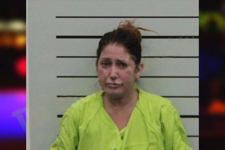 Jaime Grimes mugshot – Turner County , Georgia Jaime Grimes