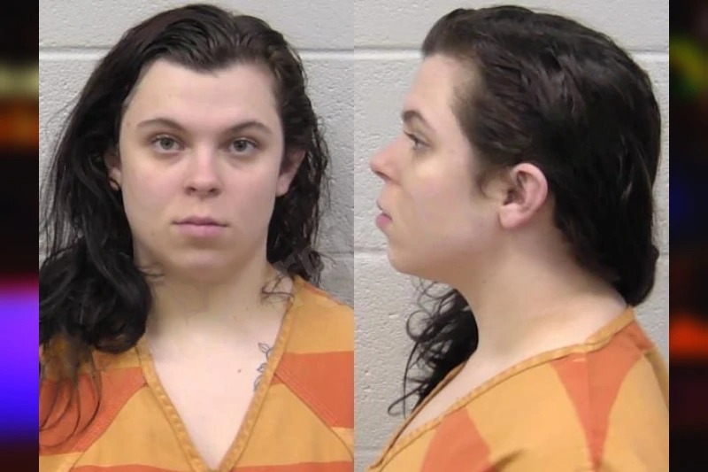 Jaime Johnson Mugshots