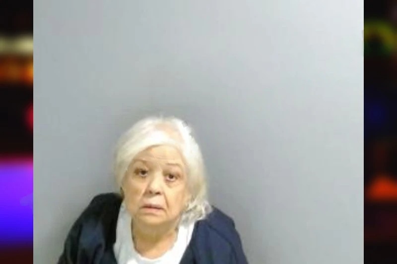 Jaleh Manafi mugshot