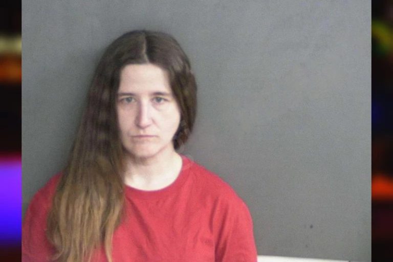 Jalyn Wilkerson mugshot – Twiggs County , Georgia Jalyn Wilkerson