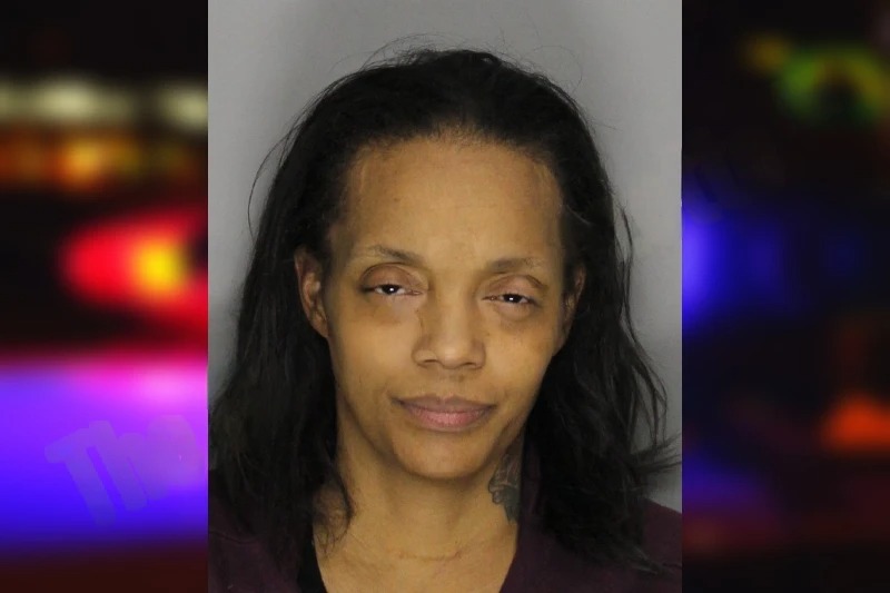 Jamecia White mugshot – Cobb County , Georgia Jamecia White mugshot