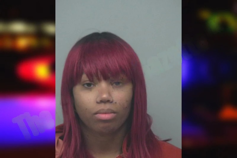 Jamela Brown mugshot – Gwinnett County , Georgia Jamela Brown mugshot