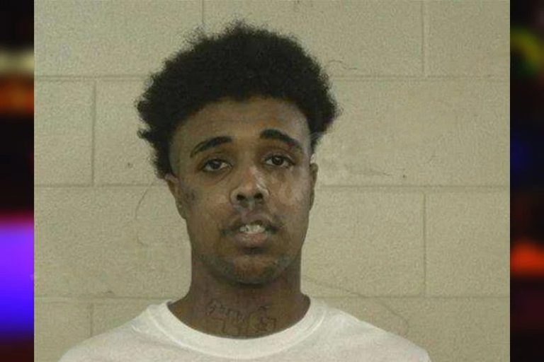 Jamerie Johnson mugshot – Liberty County , Georgia Jamerie Johnson