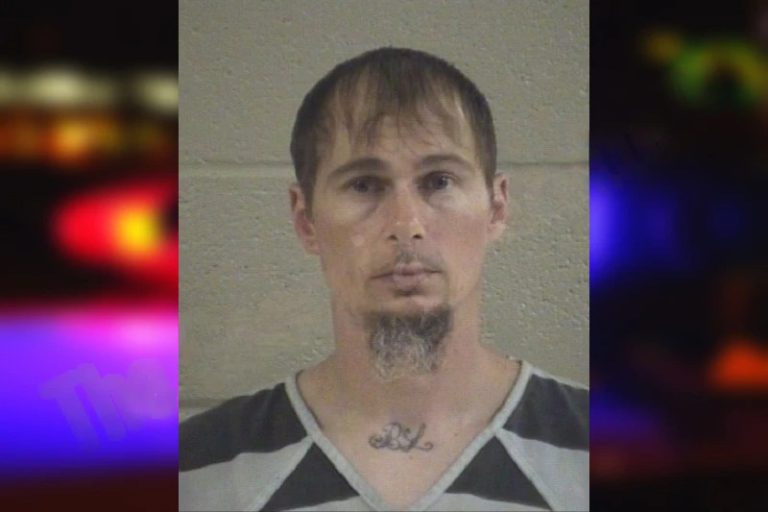 Jamie Harbin mugshot – Whitfield County , Georgia Jamie Harbin