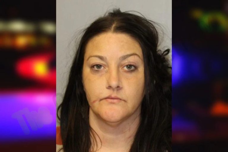 Jamie Harrison mugshot – Hall County , Georgia Jamie Harrison