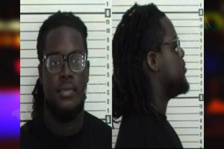 Jamie Henderson mugshot – Camden County , Georgia Jamie Henderson