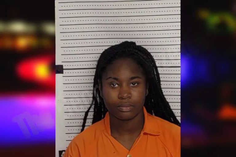 Jamiyah Sheppard mugshot – Rockdale County , Georgia Jamiyah Sheppard